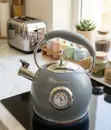 Temperature Display Whistling Kettle (3L, Induction Friendly) - 1