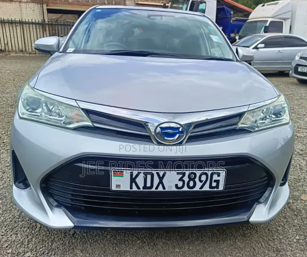 Toyota Corolla Fielder 2019 Silver - 1