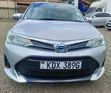 Toyota Corolla Fielder 2019 Silver - 1