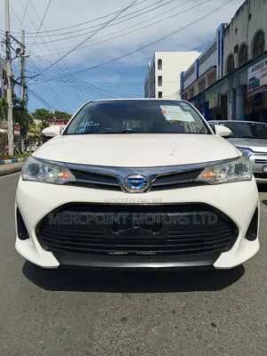 Toyota Corolla Fielder 2019 Hybrid White