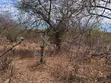 Embu County, Kiambere Eka 3 za Ardhi ya Malisho Karibu na Mlima Kiambere - 5