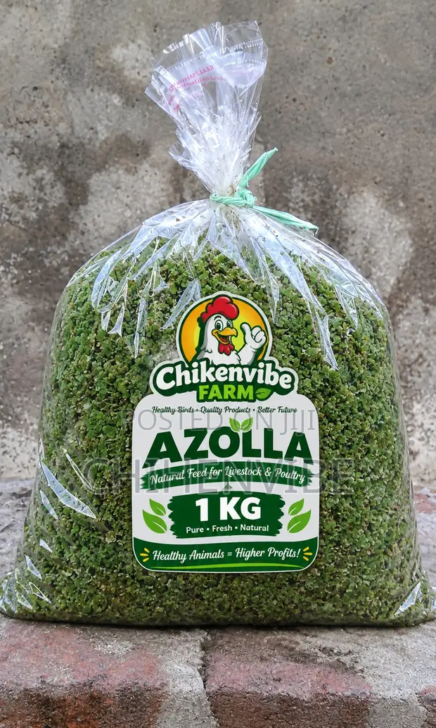 Chihen Azolla - Animal Feed Supplement - 1