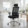 Boss Office Products Orthopedic Office Chair - 2