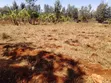 1 Acre Prime Land for Sale, Maguguni, Thika - 2