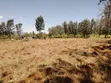 1 Acre Prime Land for Sale, Maguguni, Thika - 5