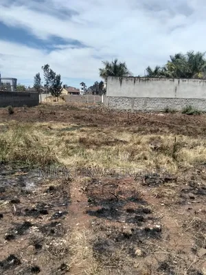 60x110 Ft Plot for Sale in Githunguri, Thika