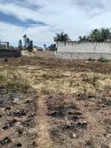 60x110 Ft Plot for Sale in Githunguri, Thika - 1