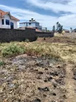 60x110 Ft Plot for Sale in Githunguri, Thika - 3