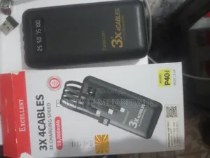 Excellent 10,000mAh Power Bank (4 Ports)