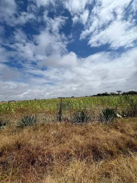 Plot for Sale in Juja Farm, Mwireri - 1