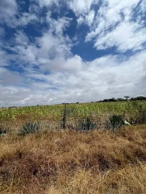 Plot for Sale in Juja Farm, Mwireri