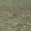 Kiwanja kwa Mauzo Juja Farm, Mwireri - 2