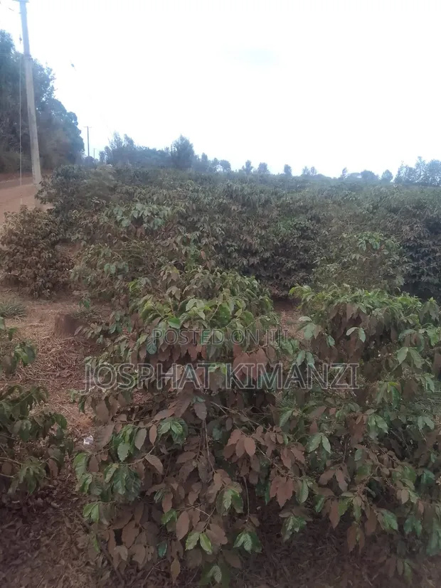 Industrial Land for Sale in Murang'a, Kambiti - 1