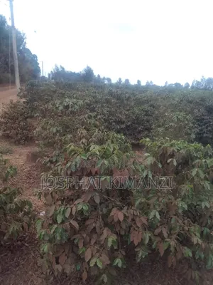 Ardhi ya Viwanda kwa Uuzaji Murang'a, Kambiti