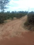 Ardhi ya Viwanda kwa Uuzaji Murang'a, Kambiti - 2
