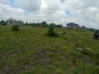 Juja Farm, Mastore 50x100 Plot for Sale - 1