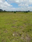 Juja Farm, Mastore 50x100 Plot for Sale - 2