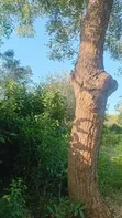 Kiwanja cha Galu Beach Acre 1 kwa Mauzo, Eneo la Kosovo - 3
