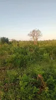 Eneo la 1 Acre Linauzwa Galu Beach, 1.2km kutoka Bahari - 3