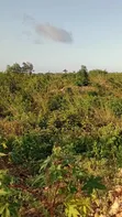 Eneo la 1 Acre Linauzwa Galu Beach, 1.2km kutoka Bahari - 4