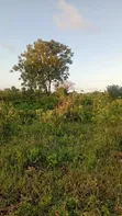 Eneo la 1 Acre Linauzwa Galu Beach, 1.2km kutoka Bahari - 5