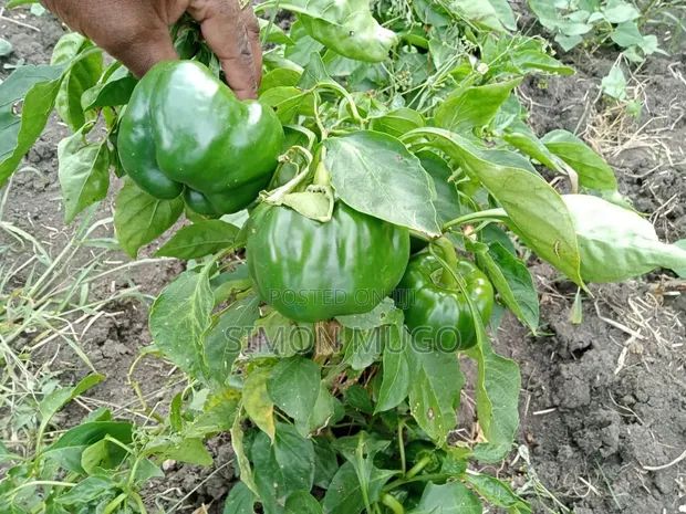 Eneo la Karai Nyondia, Naivasha - 1.5 Eka kwa Nyumba au Hoteli - 1