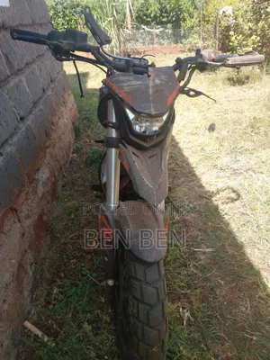 Tekken Simba 250 Dual Sport 2022 Pink