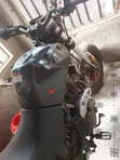 Tekken Simba 250 Dual Sport 2022 Pink - 5
