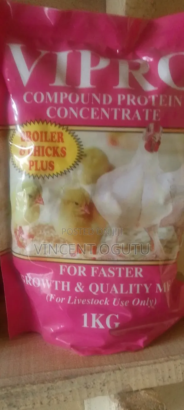 Vipro Broiler Chicks - 1