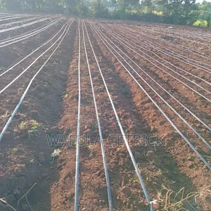 Ufungaji wa Mfumo wa Umwagiliaji wa Drip - Eka 1