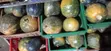 Greenbasket Enterprises - Mboga Safi - 1