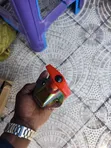 24V Battery Isolator Cut-Off Switch yenye Key Inayoweza Kuondolewa - 2