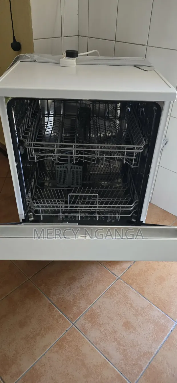 Hanseatic Dishwasher - 1