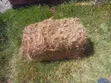 Boma Rhodes Hay for Sale - 4