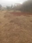 Thika Ngoingwa Plot for Sale - 40x80ft - 1