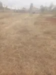 Thika Ngoingwa Plot for Sale - 40x80ft - 2