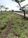 Ekari 4 za Ardhi Zinauzwa Makutano, Laikipia Mashariki - 1