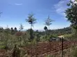 Eneo la Kibiashara la Eka 1 Linauzwa, Mua Hills - 2