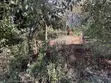 Eneo la Kibiashara la Eka 1 Linauzwa, Mua Hills - 3