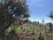 Eneo la Kibiashara la Eka 1 Linauzwa, Mua Hills - 5