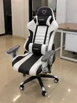 Kiti cha Michezo cha Ergonomic chenye Mgongo Mrefu - 2