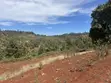Eneo la Eka 1 kwa Uuzaji Mua Hills - 3