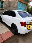 Toyota Axio 2009 White - 1