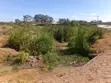 4 Acres Land for Sale in Kenol Town, Touching Kenol-Nyeri Dual Carriageway - 3
