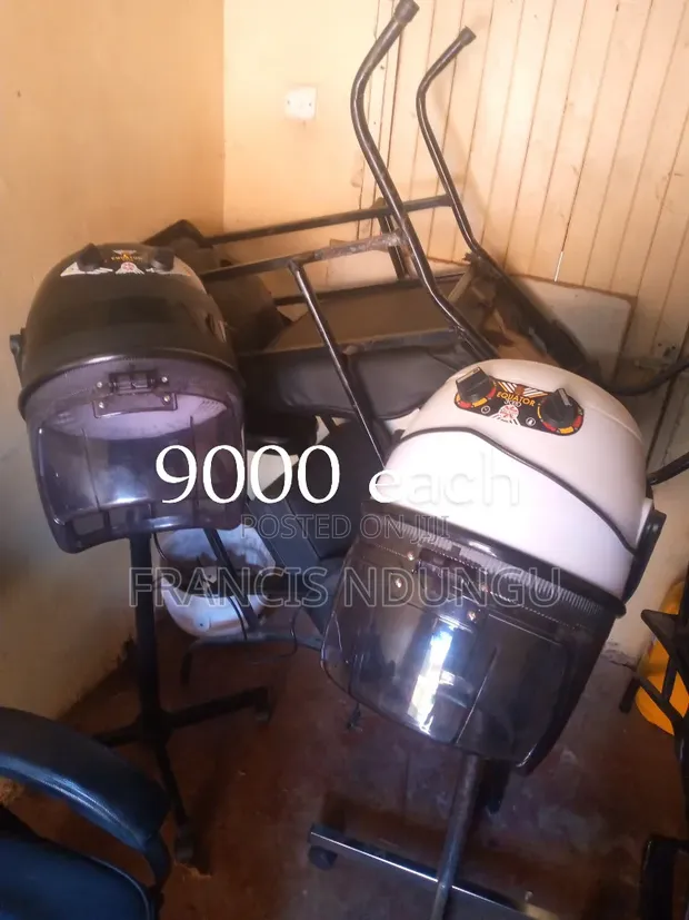 3000W Professional Hair Dryer - 1