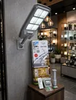 CTLAMP CL-29 300W Solar Street Light - 2