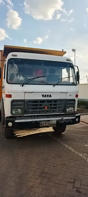 Tata Lori Rigid - Njano, 2016