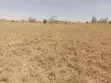Kitalu cha 1/8 Eka kwa Uuzaji KAG, Kitengela - 1
