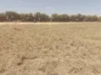 Kitalu cha 1/8 Eka kwa Uuzaji KAG, Kitengela - 4