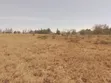 Kitalu cha 1/8 Eka kwa Uuzaji KAG, Kitengela - 5